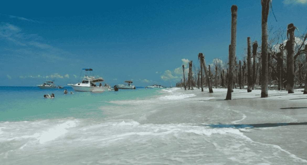 Luxury homes for sale in Venice FL