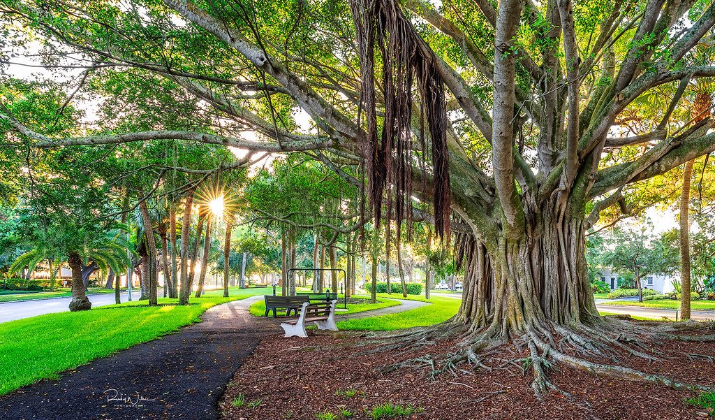 Best neighborhoods in Venice FL - Wellen Park and Venice Island